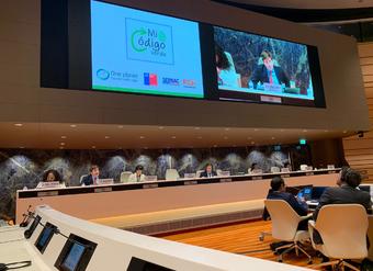 SERNAC participa en Conferencia de Naciones Unidas para el Comercio y Desarrollo (UNCTAD) con Mi Codigo Verde en Ginebra.