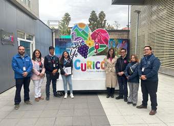 Maule: Fiscalización multitarea en contexto de la "Fiesta de la Vendimia de Chile" en Curicó