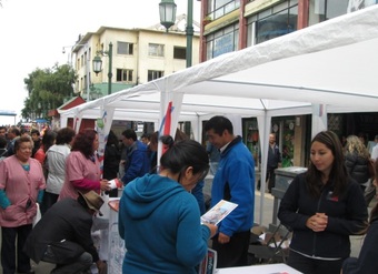 Feria del Consumidor 2014 &#8211; Región de Los Lagos