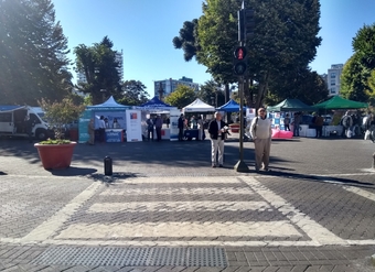 El SERNAC de Biobío celebró el Día del Consumidor con una Feria del Consumidor en Plaza Independencia de Concepción.