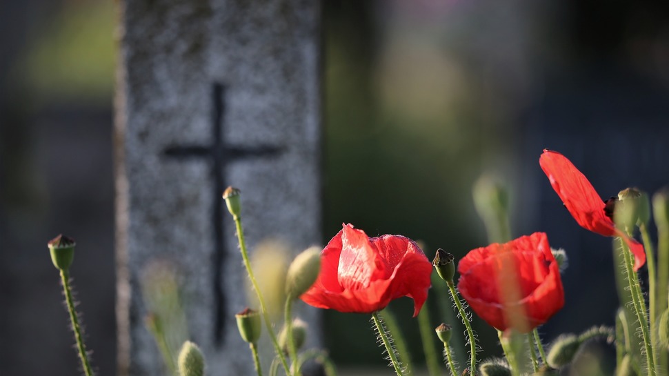 Magallanes: Quiénes son los consumidores beneficiados por la sentencia en contra del Cementerio Parque Froward