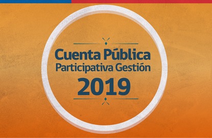 Cuenta Pública Participativa 2019