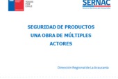 Araucanía: SERNAC realiza ronda de reuniones con actores regionales en materias de calidad y seguridad de productos