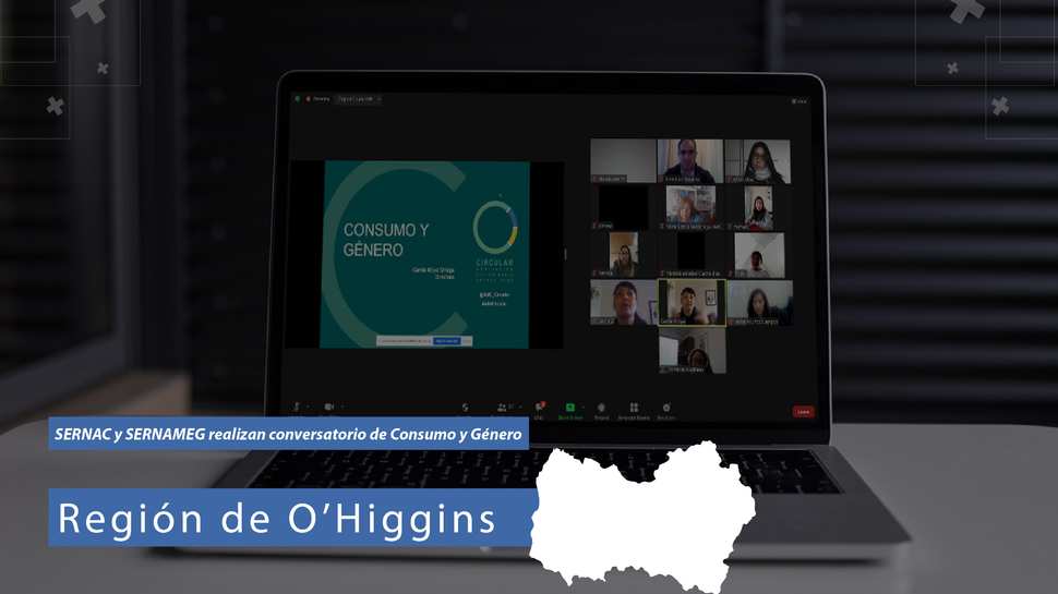O'Higgins: Conversatorio sobre género y consumo en la región O'Higgins: Conversatorio sobre género y consumo en la región