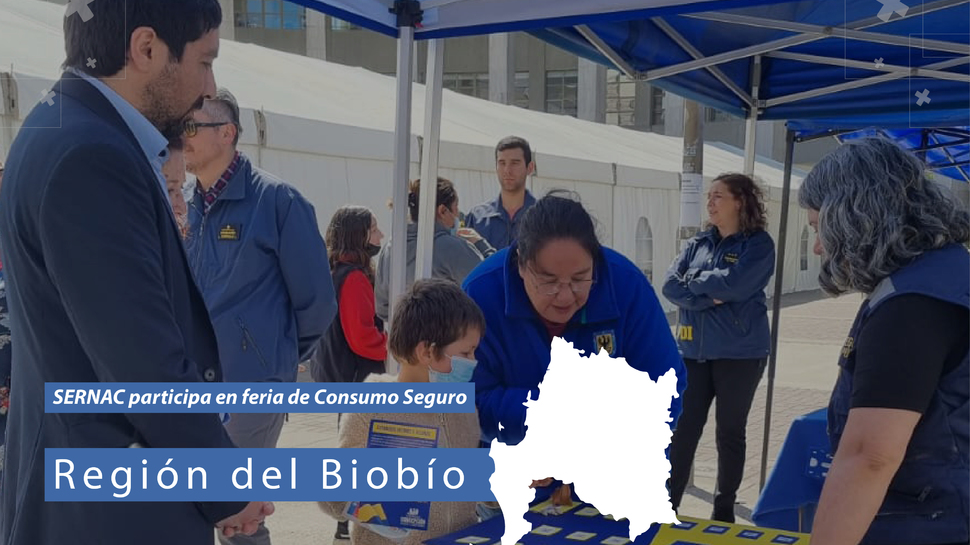 Biobío: Instituciones públicas realizaron feria informativa por un consumo seguro en la región