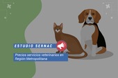 El SERNAC detectó diferencias de hasta 3.400% en el valor de una consulta para la atención de una mascota