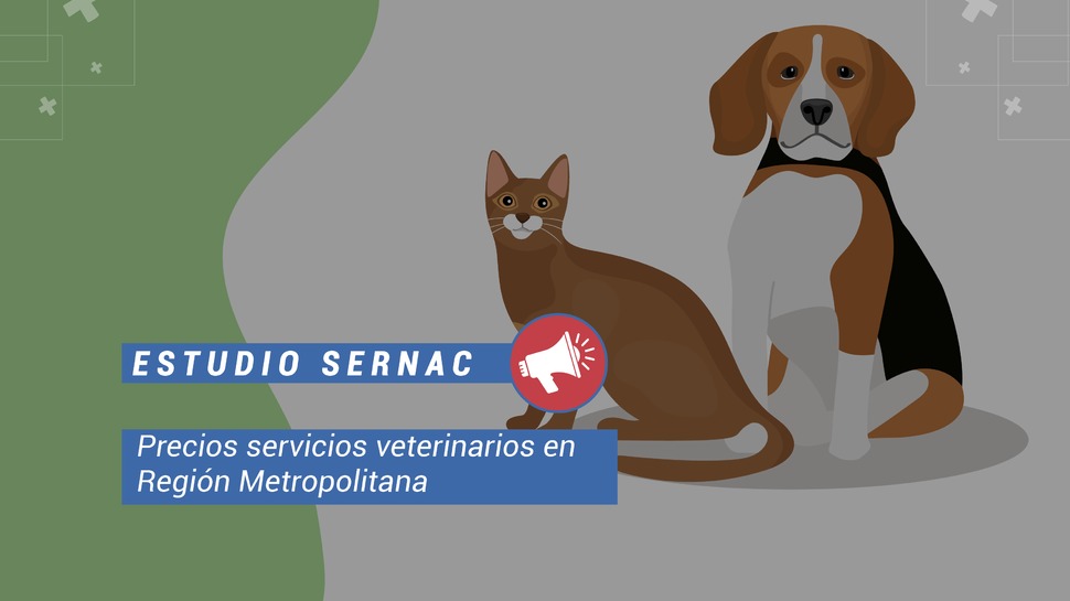 El SERNAC detectó diferencias de hasta 3.400% en el valor de una consulta para la atención de una mascota