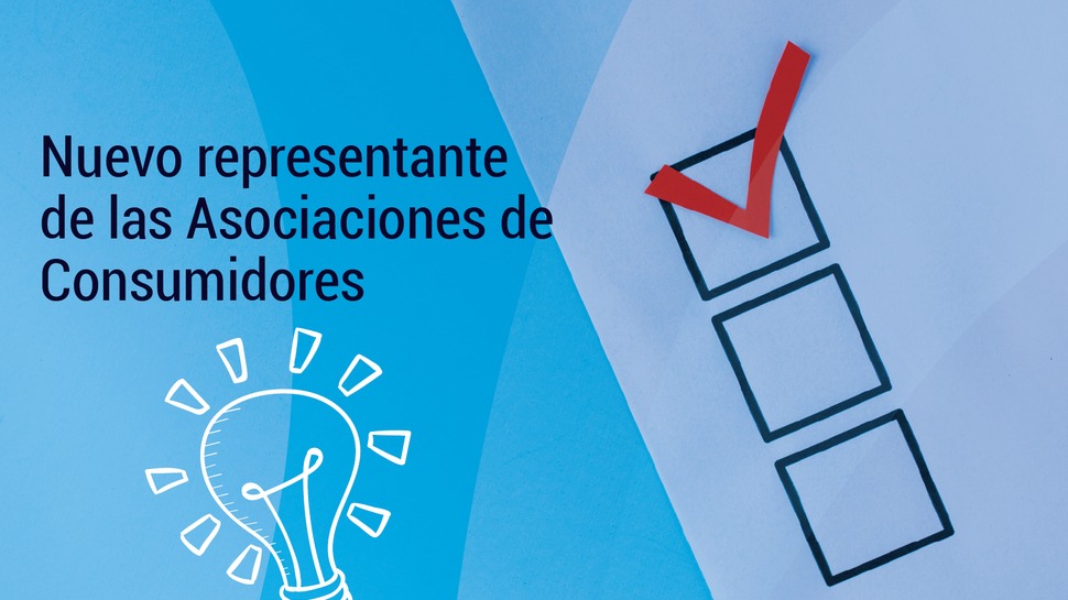 Se ratifica al nuevo representante en el Consejo de Fondo Concursable