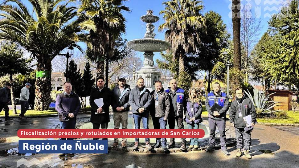 Ñuble: Fiscalización de precios y rotulados de productos en San Carlos