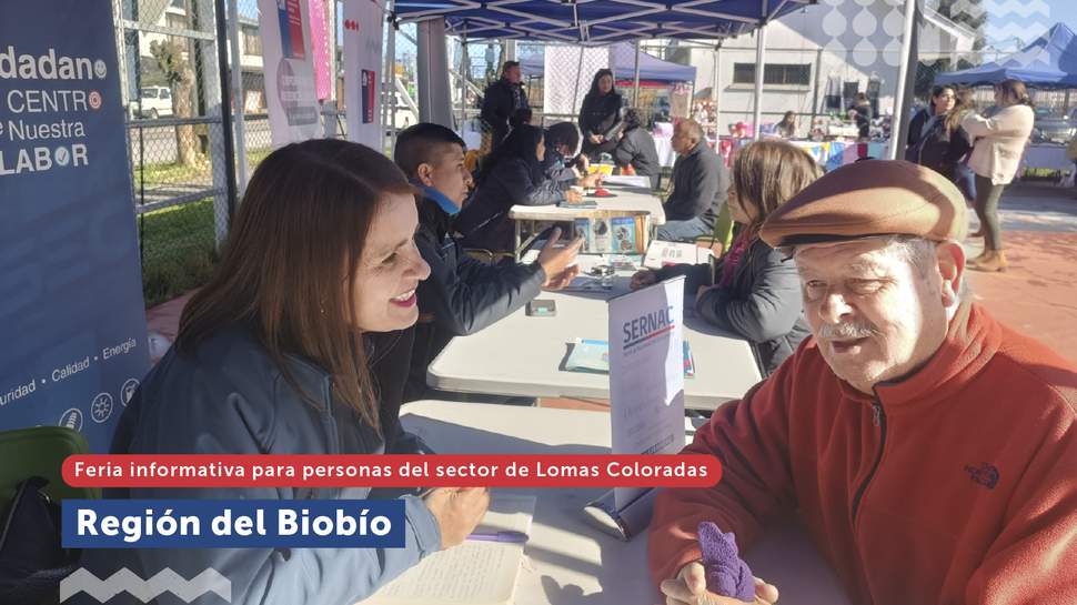 Biobío: Nueva actividad de Gobierno en Terreno en Lomas Coloradas