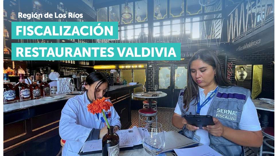Los Ríos: SERNAC y SEREMI de Salud aumentan fiscalización a restaurantes en Valdivia