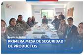Ñuble: Primera sesión anual de la Mesa Regional de Seguridad de Productos Ñuble: Primera sesión anual de la Mesa Regional de Seguridad de Productos