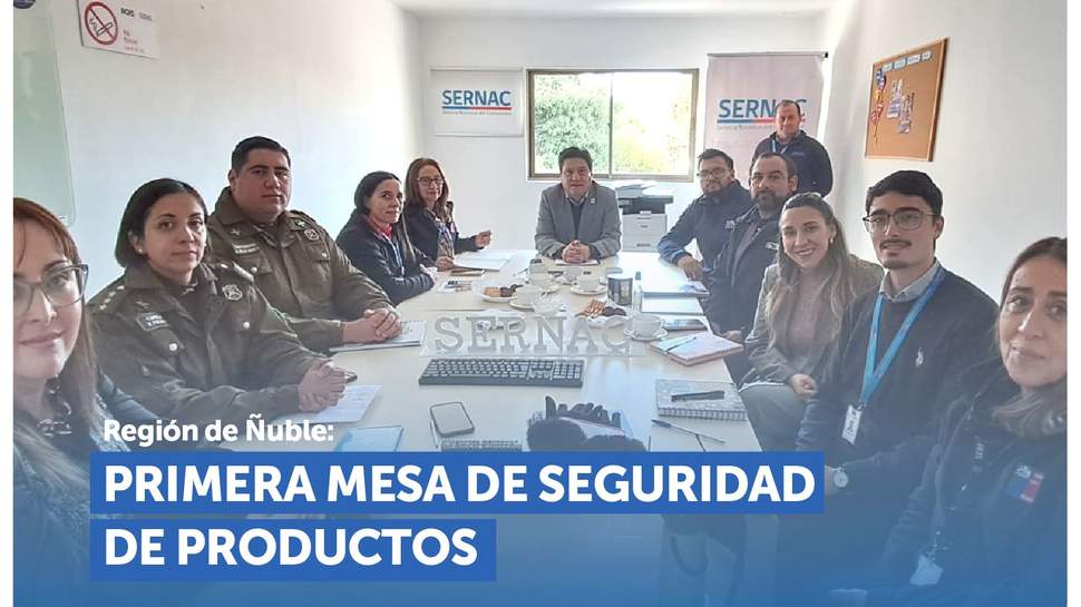 Ñuble: Primera sesión anual de la Mesa Regional de Seguridad de Productos