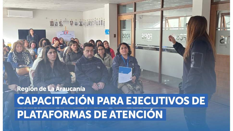 La Araucanía: Jornada de capacitación para ejecutivos de plataformas de atención La Araucanía: Jornada de capacitación para ejecutivos de plataformas de atención