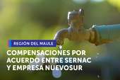 Maule: Acuerdo entre SERNAC y Nuevosur compensará a usuarios por cortes injustificados de agua potable