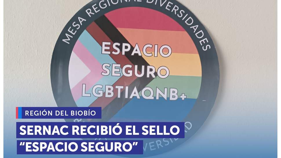 Biobío: SERNAC recibió el sello “Espacio Seguro" por su aporte a la diversidad y no discriminación Biobío: SERNAC recibió el sello “Espacio Seguro" por su aporte a la diversidad y no discriminación