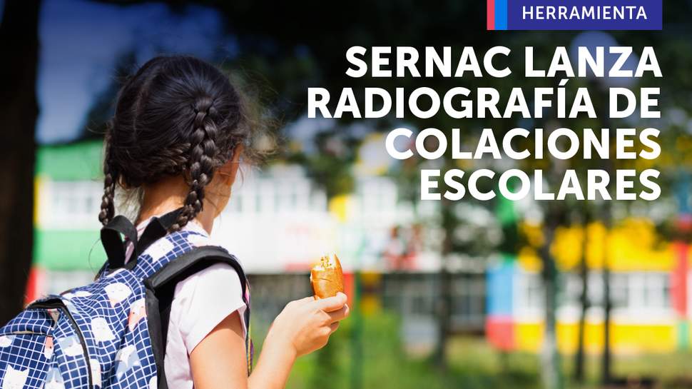 Alta concentración de azúcar y variabilidad de precios: SERNAC lanza radiografía de colaciones escolares Alta concentración de azúcar y variabilidad de precios: SERNAC lanza radiografía de colaciones escolares