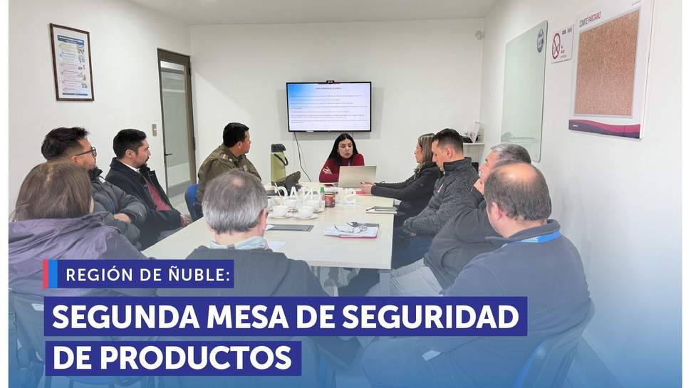 Ñuble: Segunda sesión de la Mesa Regional de Seguridad de Productos enfocada en centros de eventos infantiles Ñuble: Segunda sesión de la Mesa Regional de Seguridad de Productos enfocada en centros de eventos infantiles