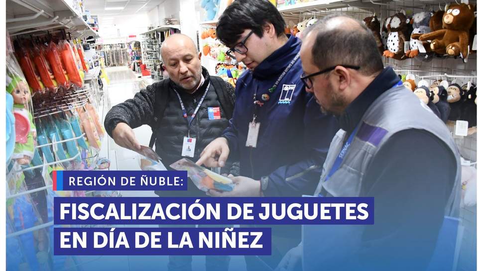 Ñuble: Fiscalización de juguetes en el contexto del Día de la Niñez