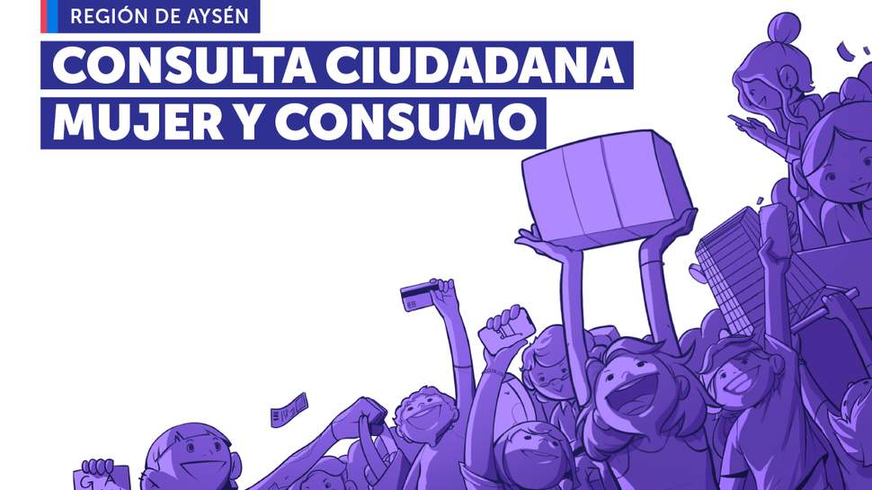 Consulta Ciudadana Mujer y Consumo Aysen