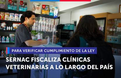 SERNAC fiscaliza clínicas veterinarias a lo largo del país para verificar cumplimiento de la ley