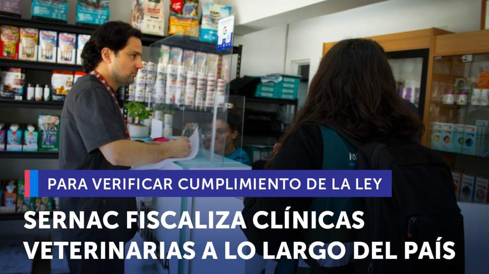 SERNAC fiscaliza clínicas veterinarias a lo largo del país para verificar cumplimiento de la ley