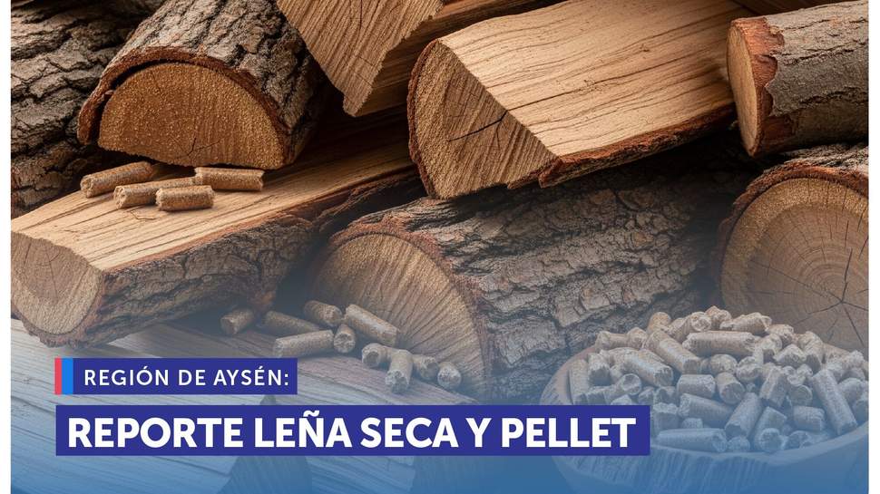 Dónde comprar pellet en Coyhaique y Puerto Aysén