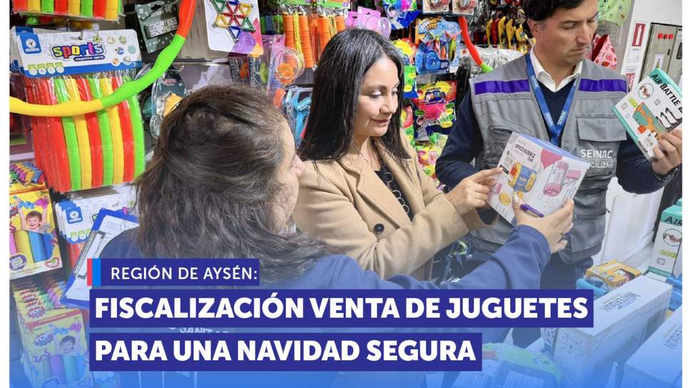 Aysén: SERNAC y SEREMI de Salud fiscalizaron venta de juguetes para disfrutar una Navidad Segura