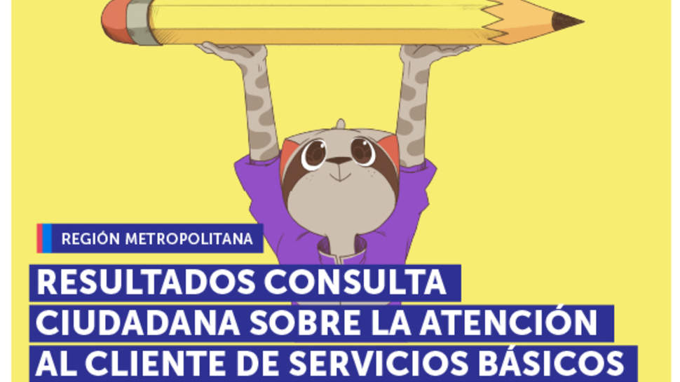Metropolitana: Resultados Consulta Ciudadana sobre empresas de servicios básicos