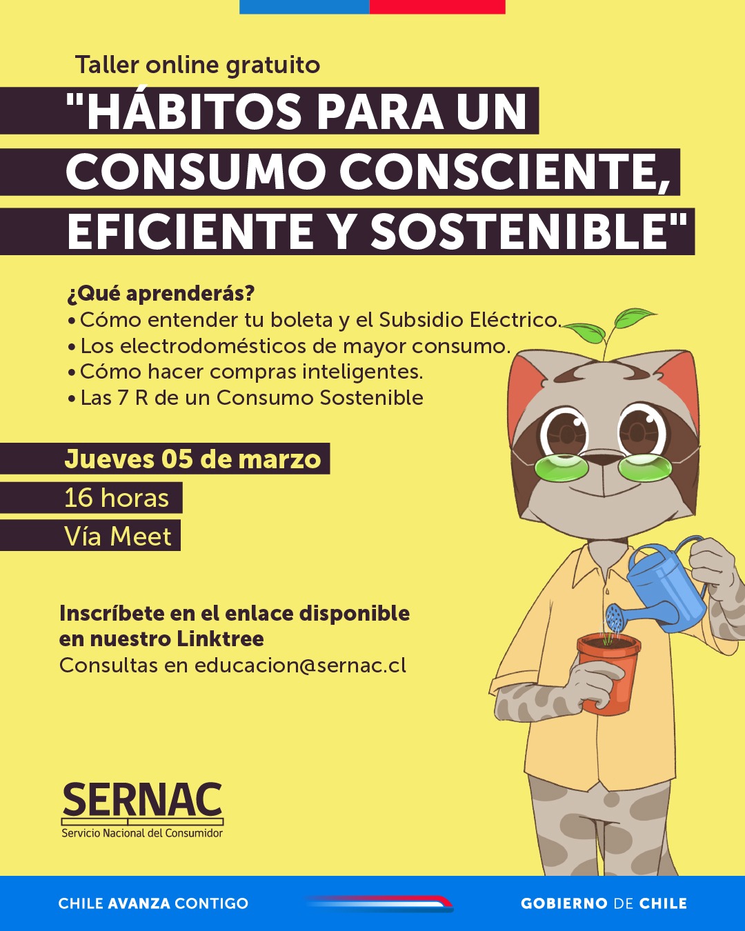 Taller Hábitos para un Consumo Consciente, Eficiente y Sostenible Taller Hábitos para un Consumo Consciente, Eficiente y Sostenible