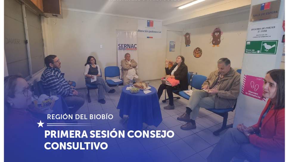 Biobío: Primera sesión anual del Consejo Consultivo de la región