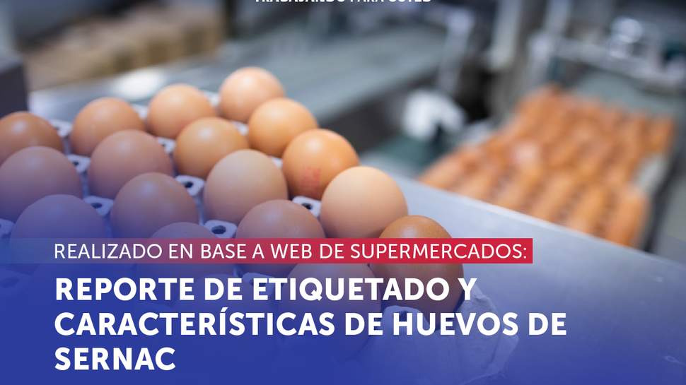 SERNAC realiza reporte sobre etiquetado y algunas características de los huevos en venta web de los supermercados
