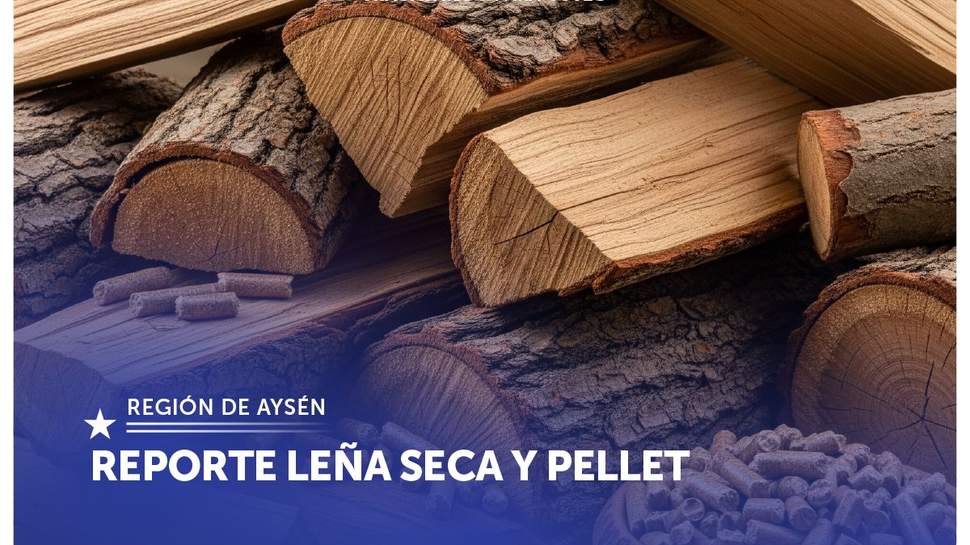 Leña seca Aysén