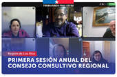 Los Ríos: Primera sesión anual del Consejo Consultivo Regional