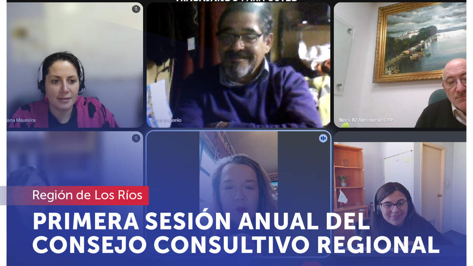 Los Ríos: Primera sesión anual del Consejo Consultivo Regional