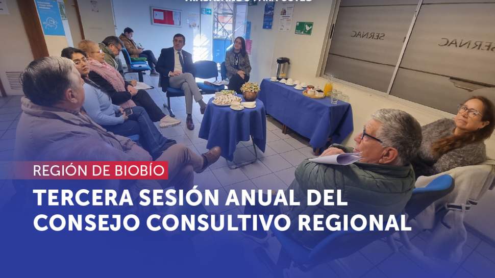 Biobío: Tercera sesión anual del Consejo Consultivo de la región