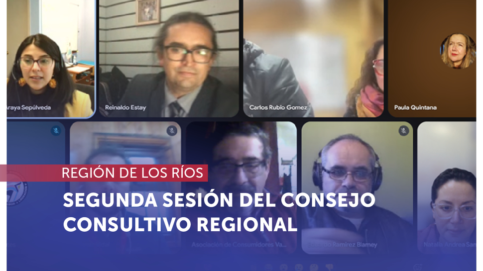 Los Ríos: Segunda sesión anual del Consejo Consultivo Regional Los Ríos: Segunda sesión anual del Consejo Consultivo Regional