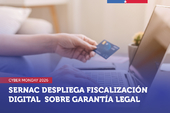 Cyber Monday: El SERNAC despliega fiscalización digital sobre garantía legal