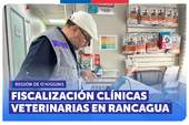 O'Higgins: SERNAC fiscaliza a clínicas veterinarias en Rancagua