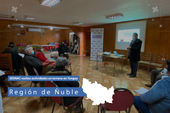 Ñuble: Actividades en terreno en la comuna de Yungay Ñuble: Actividades en terreno en la comuna de Yungay