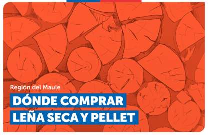 Leña seca Maule