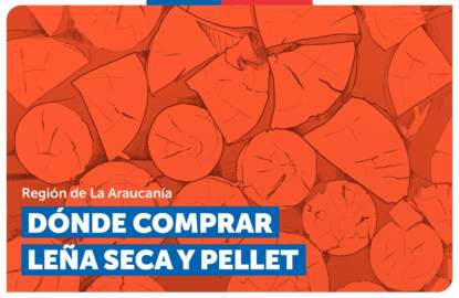 Leña seca Araucanía
