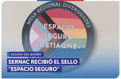 Biobío: SERNAC recibió el sello “Espacio Seguro" por su aporte a la diversidad y no discriminación