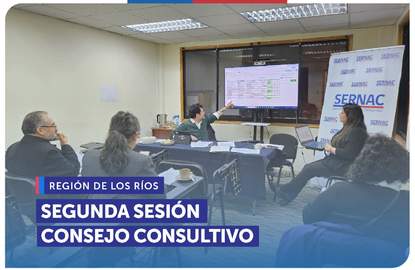 Los Ríos: Segunda sesión anual del Consejo Consultivo Regional