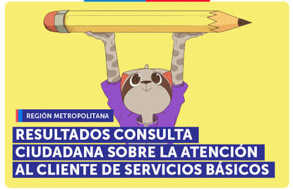 Metropolitana: Resultados Consulta Ciudadana sobre empresas de servicios básicos
