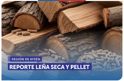Dónde comprar pellet en Coyhaique y Puerto Aysén