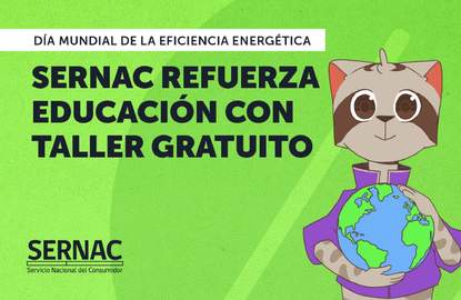 Día Mundial de la Eficiencia Energética: SERNAC refuerza educación con taller gratuito
