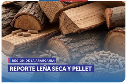 Leña seca Araucanía