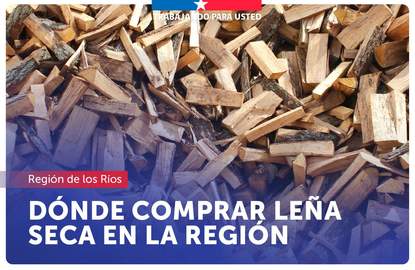 Leña seca Los Ríos