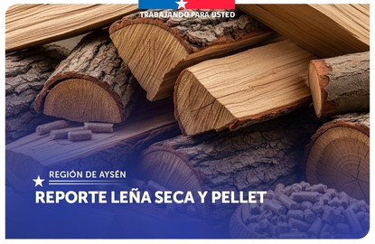 Leña seca Aysén